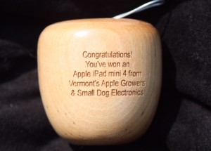 wooden apple IMG_8345 - Copy
